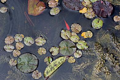 《星空》将支持英伟达光追技术 太空版天际画面出色